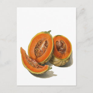 Postale Carte d'illustration de melon cantaloup tranché