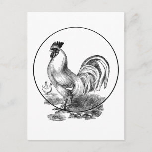 Postale Carte d'illustration du coq vintage