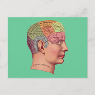 Postale Carte du cerveau antique Chef de pharmacologie