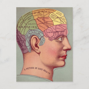 Postale Carte du cerveau antique Chef de pharmacologie