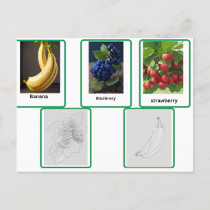 Postale carte flashcards de fruits enfants et adultes