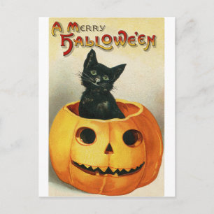 Postale Carte Halloween Vintage Chat Noir dans Citrouill