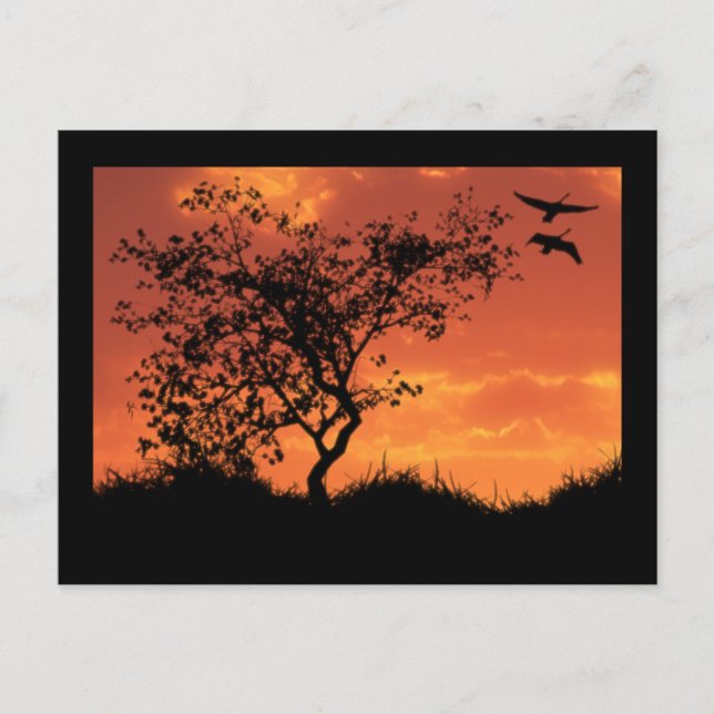 Postale Carte Inspiration Un (Devant)