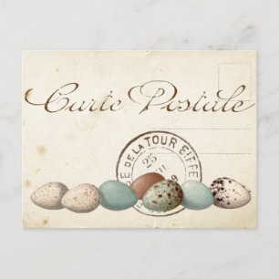 Postale Carte Jeu d'oiseaux postaux 1 sur 4 (Oeufs de marq