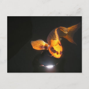 Postale Carte Koi Post non écrasée