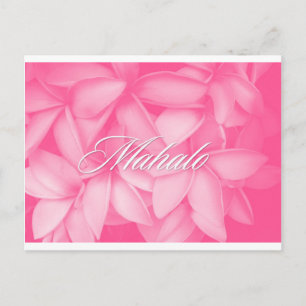 Postale Carte Mahalo Plumeria rose