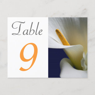 Postale Carte Numéro de tableau Calla Lily