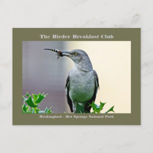 Postale Carte Oiseau Mockingbird