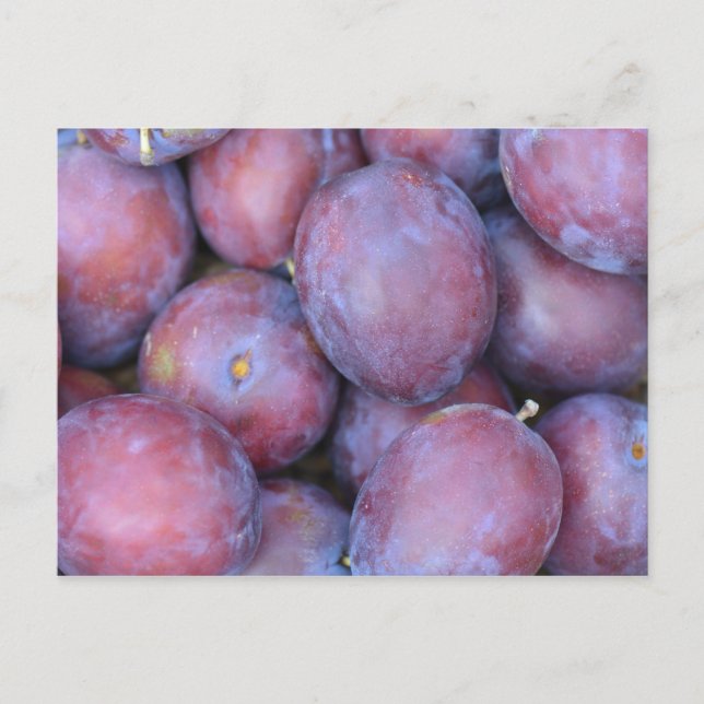 Postale Carte Plums (Devant)