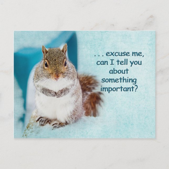 POSTALE CARTE POST - PUBLICITÉ - SQUIRREL CUTE (Devant)