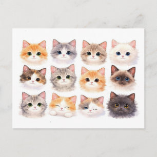 Postale Carte postale. Chatons drôles