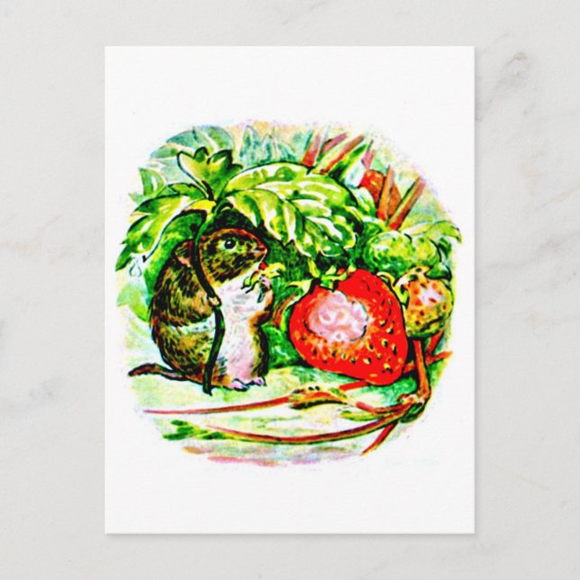 Postale Carte postale-Enfants Art-Beatrix Potter 13 (Devant)