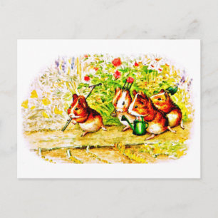 Postale Carte postale-Enfants Art-Beatrix Potter 28