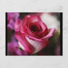 Postale Carte postale-Fleurs-26