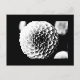 Postale Carte postale-Fleurs-51