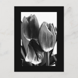 Postale Carte postale-Fleurs-64