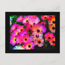 Postale Carte postale-Fleurs-68
