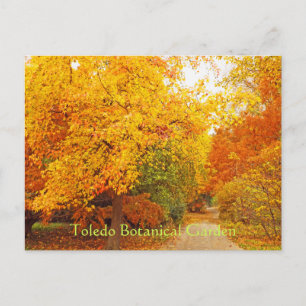 POSTALE CARTE POSTALE/JARDIN BOTANIQUE DE TOLÈDE/CHEMIN D'
