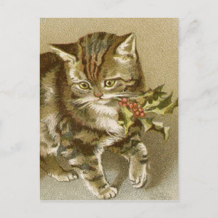 Postale Carte postale:  Kitty avec Holly Sprig