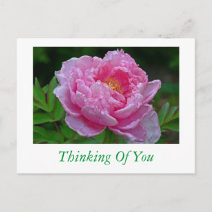 POSTALE CARTE POSTALE, "PEONK PEONKING/THINKING OF YOU"