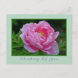 POSTALE CARTE POSTALE, "PEONK PEONKING/THINKING OF YOU" CA