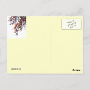 Postale Carte postale-Rouge cerf-volant dans le collage du