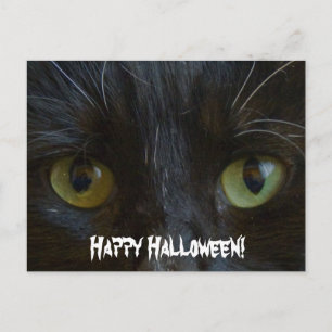 Postale Carte postale: Yeux de chat noir