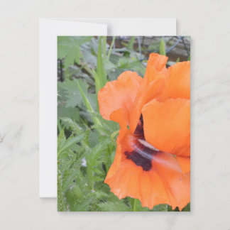 Postale Carte pour notes