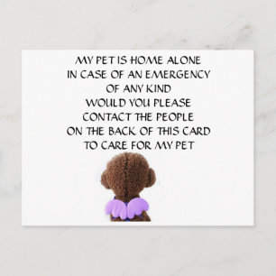 POSTALE CARTE POUR "VOTRE ANIMAL" EN COQUE VOUS AVEZ UNE U