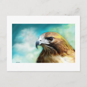 Postale Carte Red Tail Hawk