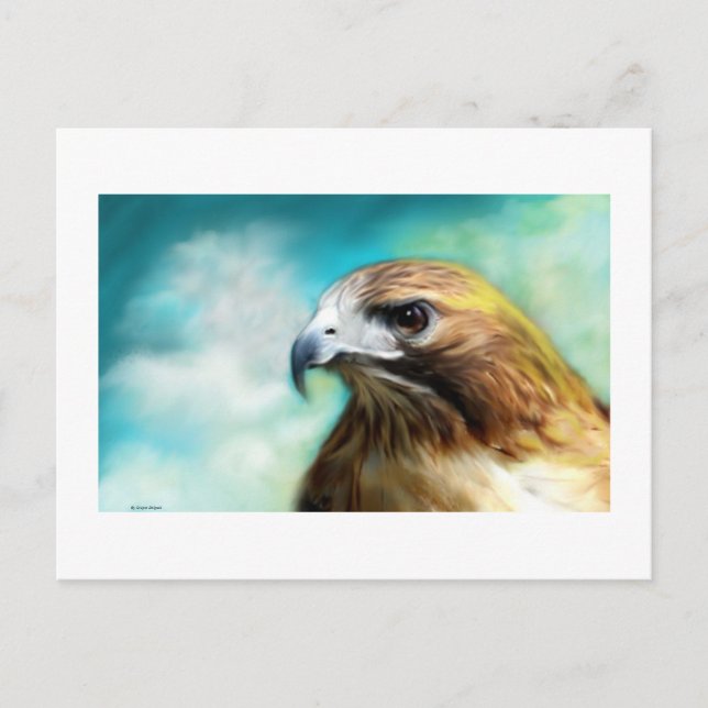 Postale Carte Red Tail Hawk (Devant)