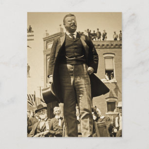 Postale Carte Stereoview Teddy Roosevelt 1905 Vintage