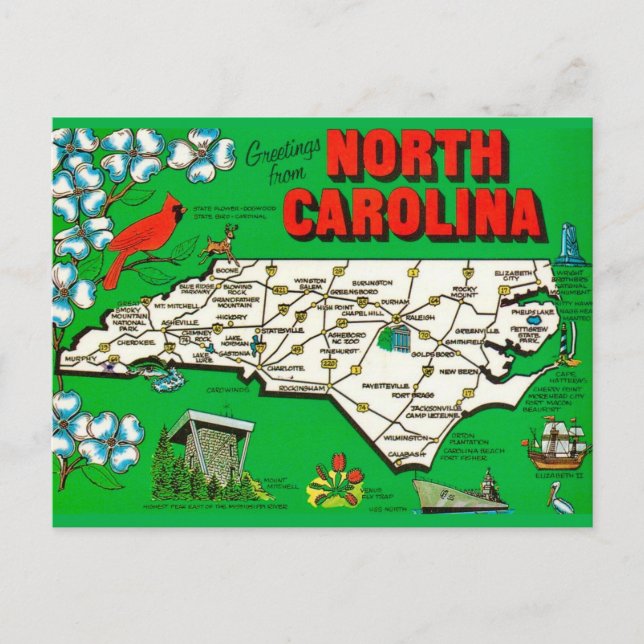 Postale Carte verte de Caroline du Nord (Devant)