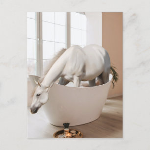 Postale Cheval Baignoire Art de salle de bain Carte postal