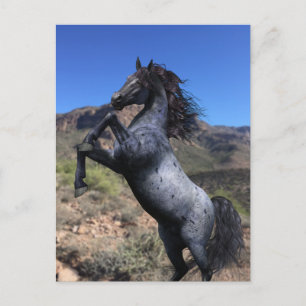 Postale Cheval Blue Roan Cabré dans le Désert Carte Postal