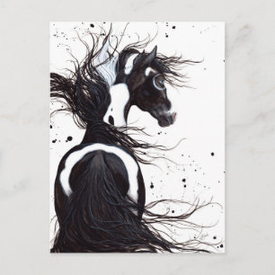 Postale Cheval de peinture noir blanc Pinto par carte post