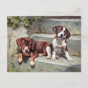 Postale Chiens beagles Chiens Chiens Chiens Vintage Carte 