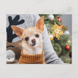 Postale Chihuahua Chien Noël avec carte de voeux de Noël A