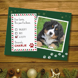 Postale Chiot Cher Père Noël Green Christmas Carte de voeu