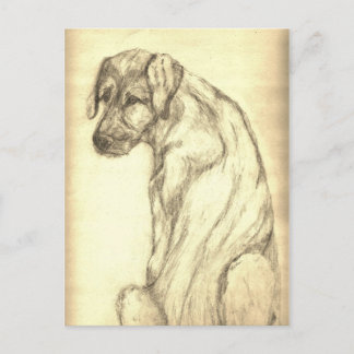 Postale Chiot de chien-loup irlandais regardant la carte