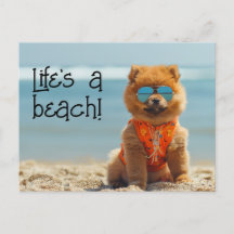 ChowChow Chiot portant lunettes de soleil carte po