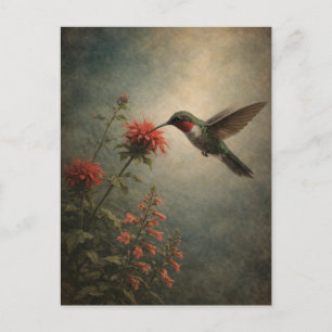 Postale Colibri Bloom Art de l'oiseau floral Carte pos