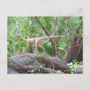 Postale Compsognathus - Dinosaure - Carte d'apprentissage