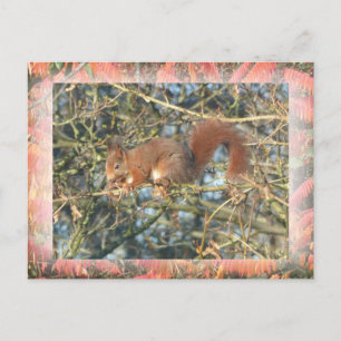 Postale Cute écureuil en arbre avec do-it-yourself carte p