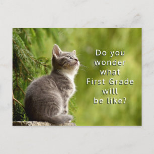 Postale Cute Kitten Élémentaire Étudiants Bienvenue Carte