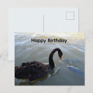 Postale Cygne noir et gros poisson, carte de vœux d'annive