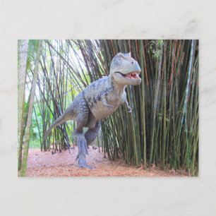 Postale Daspletosaur - Dinosaure - Carte d'apprentissage