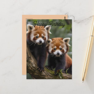 Postale Deux bébés pandas roux, carte de vœux d'anniversai