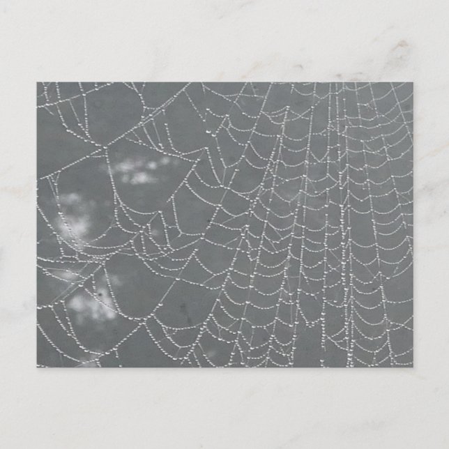 Postale Dew laisse tomber Spider Web do-it-yourself carte  (Devant)