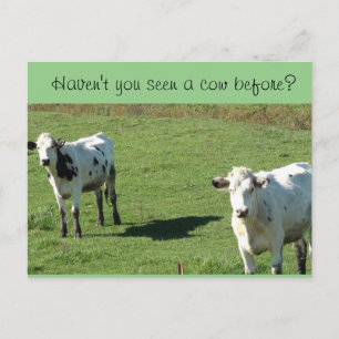 Postale Drôle Carte postale, "N'as-tu pas vu une vache ava
